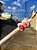 Lapiseira Love Hello, Mr. Bear Ursinho 0.7 Molin - Imagem 9