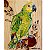 Papagaio-verdadeiro 1 - arte em madeira Bio & Mãe Terra - Imagem 1