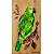 Papagaio-verdadeiro 2 - arte em madeira Bio & Mãe Terra - Imagem 1