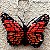 Borboleta-monarca - chaveiro Pássaros Caparaó ponto-cruz - Imagem 1