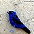 Saíra-beija-flor - chaveiro Pássaros Caparaó ponto-cruz - Imagem 1