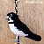 Coleirinho - chaveiro Pássaros Caparaó ponto-cruz - Imagem 1