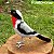 Saíra-apunhalada - miniatura Pássaros Caparaó ponto-cruz - Imagem 1