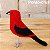 Tiê-sangue - miniatura Pássaros Caparaó ponto-cruz - Imagem 1