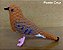 Rolinha-do-planalto - miniatura Pássaros Caparaó ponto-cruz - Imagem 1