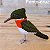 Martim-pescador-verde - miniatura Pássaros Caparaó ponto-cruz - Imagem 1