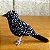 Borralhara-assobiadora - miniatura Pássaros Caparaó ponto-cruz - Imagem 1