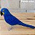 Arara-azul - miniatura Pássaros Caparaó ponto-cruz - Imagem 1