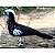 Jacutinga - miniatura Pássaros Caparaó ponto-cruz - Imagem 1