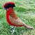 Tico-tico-rei - miniatura Pássaros Caparaó ponto-cruz - Imagem 1