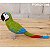 Maracanã-guaçu - miniatura Pássaros Caparaó ponto-cruz - Imagem 1