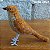 Rouxinol-europeu - miniatura Pássaros Caparaó ponto-cruz - Imagem 1
