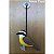 Bem-te-vi - miniatura com ventosa Pássaros Caparaó ponto-cruz - Imagem 1