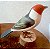 Cardeal-do-nordeste - Miniatura madeira Valdeir José - Imagem 4