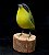 Pia-cobra - Miniatura em madeira Valdeir José - Imagem 2