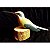 Rabo-branco-acanelado - Miniatura em madeira Valdeir José - Imagem 1