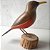 Sabiá-laranjeira - Miniatura em madeira Valdeir José - Imagem 3