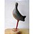 Saracura-três-potes - Miniatura em madeira Valdeir José - Imagem 4