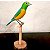 Gaturamo-bandeira - Miniatura em madeira Valdeir José - Imagem 1