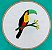 Tucano-de-bico-verde - Bordado a Mão em Bastidor - Pássaros Caparaó - Imagem 1