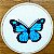 Borboleta-azul - Bordado a Mão em Bastidor - Pássaros Caparaó - Imagem 1
