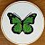 Borboleta-verde - Bordado a Mão em Bastidor - Pássaros Caparaó - Imagem 1