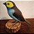 Sete-cores-da-amazônia - Miniatura madeira Valdeir José - Imagem 2