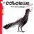 Promoção Aves para Colorir +Aves da Caatinga + Corujas e Corujinhas do Brasil - Imagem 8