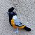 Mineirinho - chaveiro Pássaros Caparaó ponto-cruz - Imagem 1
