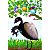Jacamim - pôster Lendas e Relendas Aves do Brasil - Imagem 1