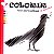 Aves da Caatinga: colorir e aprender - Imagem 1