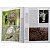Handbook of the Birds of the World – Vol. 15 Weavers to New World Warblers - SEMINOVO - Imagem 5