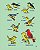 Minhas primeiras observações - guia de identificação de aves infantil - Imagem 9
