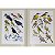 Pássaros de Quintal em Aquarela - uma visão artística - Imagem 8