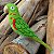 Periquitão - miniatura Pássaros Caparaó ponto-cruz - Imagem 1