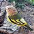 Maria-catarinense - miniatura Pássaros Caparaó ponto-cruz - Imagem 1