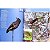 Aves da Região de Manaus / Birds of the Manaus Region - Imagem 7