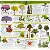 Guia de campo fauna, flora e geografia do Pantanal - Imagem 8