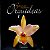 Belezas que encantam - Orquídeas vol. 1 - SEMINOVO - Imagem 1
