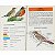 Families of Birds - A Golden Guide - USADO - Imagem 5