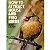How to Attract, House and Feed Birds - USADO - Imagem 1