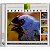 CD Aves Brasileiras 1 Dalgas Frisch - USADO - Imagem 1