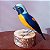 Gaturamo-rei - Miniatura em madeira Valdeir José - Imagem 1