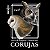 Corujas - Camiseta Look! - Imagem 2