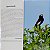 Aves & Mamíferos da Fronteira: São Borja - Imagem 3