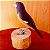 Curió - Miniatura madeira Valdeir José - Imagem 2