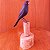 Tiziu - Miniatura madeira Valdeir José - Imagem 1