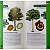 PROMOÇÃO Plantas e Animais da Amazônia - Imagem 8