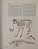 Handbook of the Mammals of the World - vol.1 Carnivores - USADO - Imagem 3
