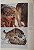 Handbook of the Mammals of the World - vol.1 Carnivores - USADO - Imagem 6
